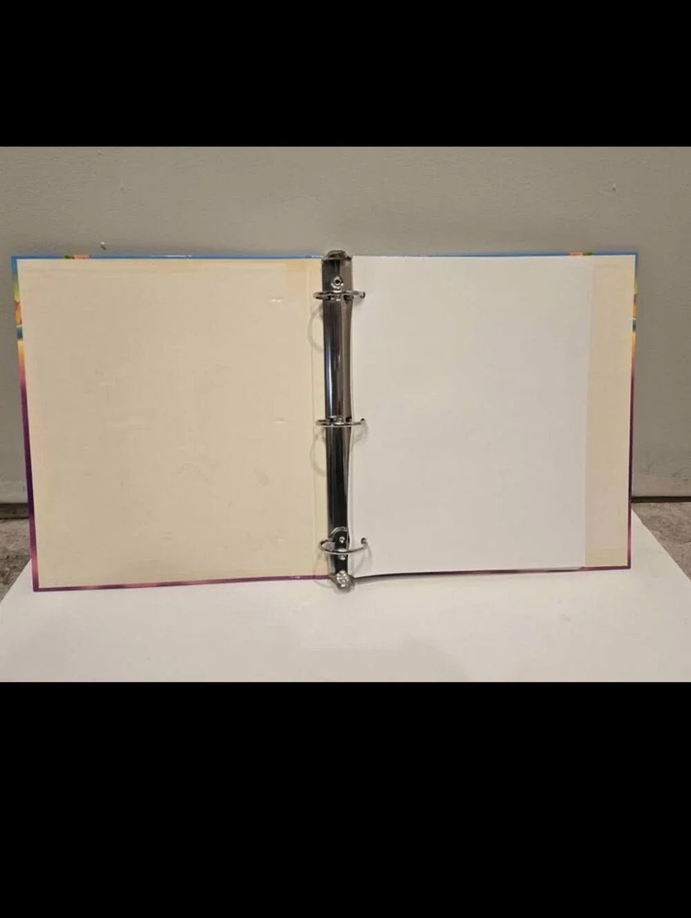 Vintage Lisa Frank Casey Caymus Golden Retrievers Memory Book Binder w/ Stickers